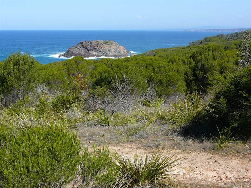 Bournda National Park, Wallagoot, NSW