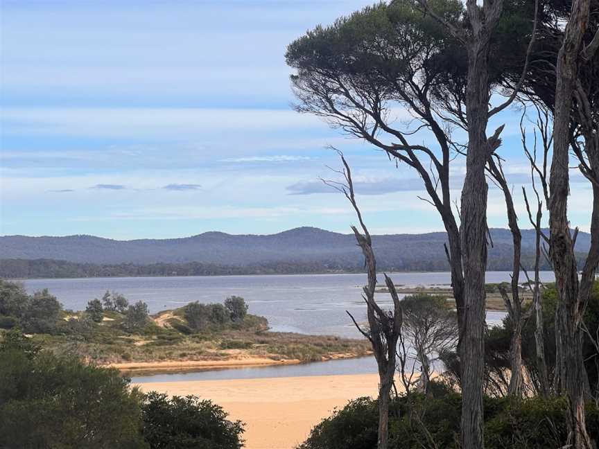 Turingal Head picnic area, Wallagoot, NSW