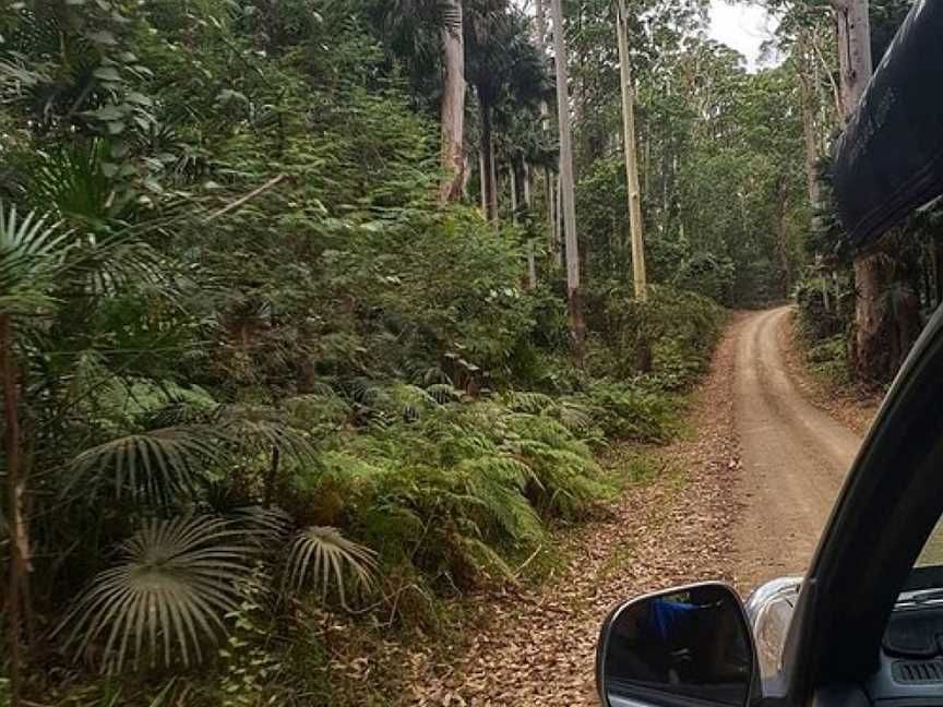 Wallingat National Park, Wallingat, NSW