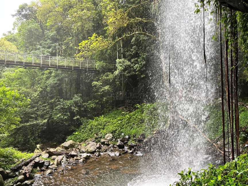 Waterfall Way Scenic Drive, Thora, NSW