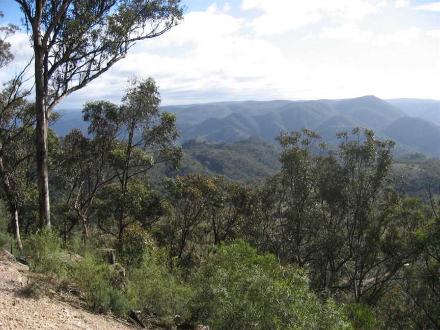 Nattai National Park, Wattle Ridge, NSW