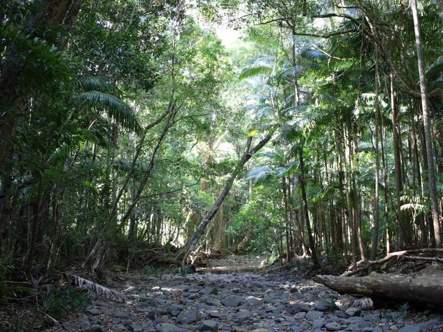 Yarriabini National Park, Way Way, NSW