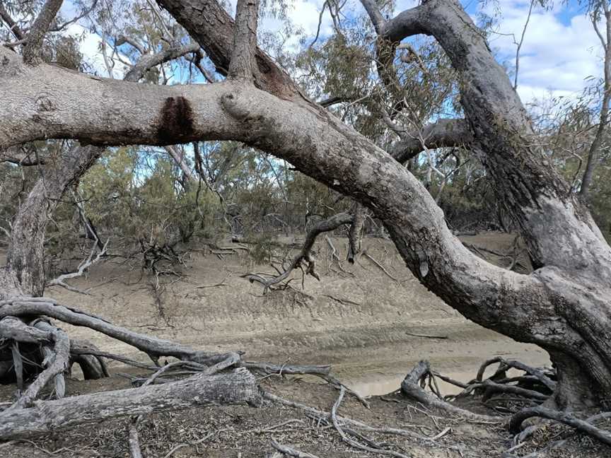 Culgoa National Park, Weilmoringle, NSW