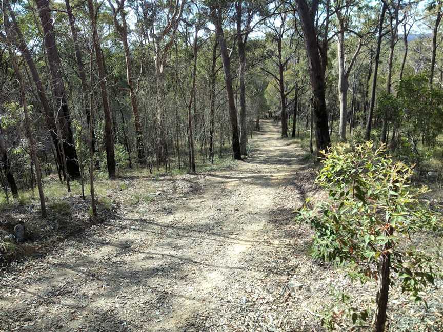 Venman Bushland National Park, Mount Cotton, QLD