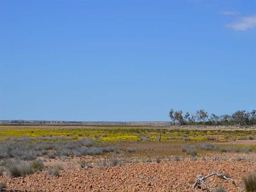 Peery Lake picnic area, Wilcannia, NSW