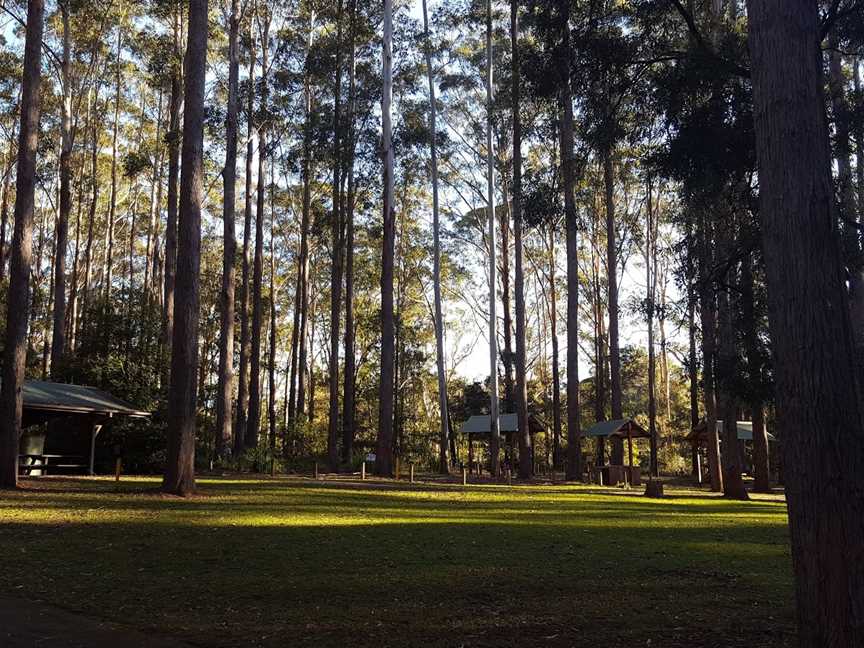 Bongil picnic area, Sawtell, NSW