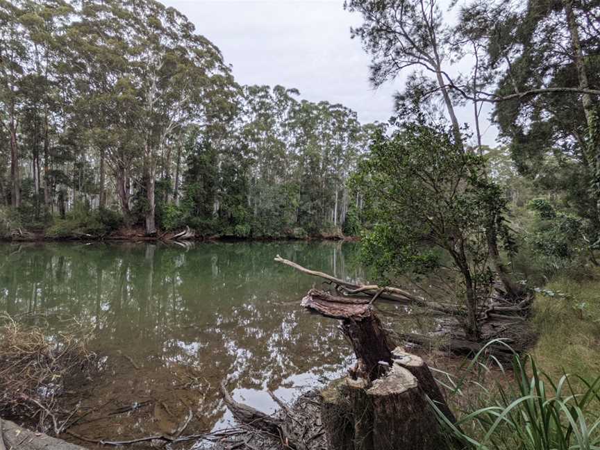 Bongil picnic area, Sawtell, NSW