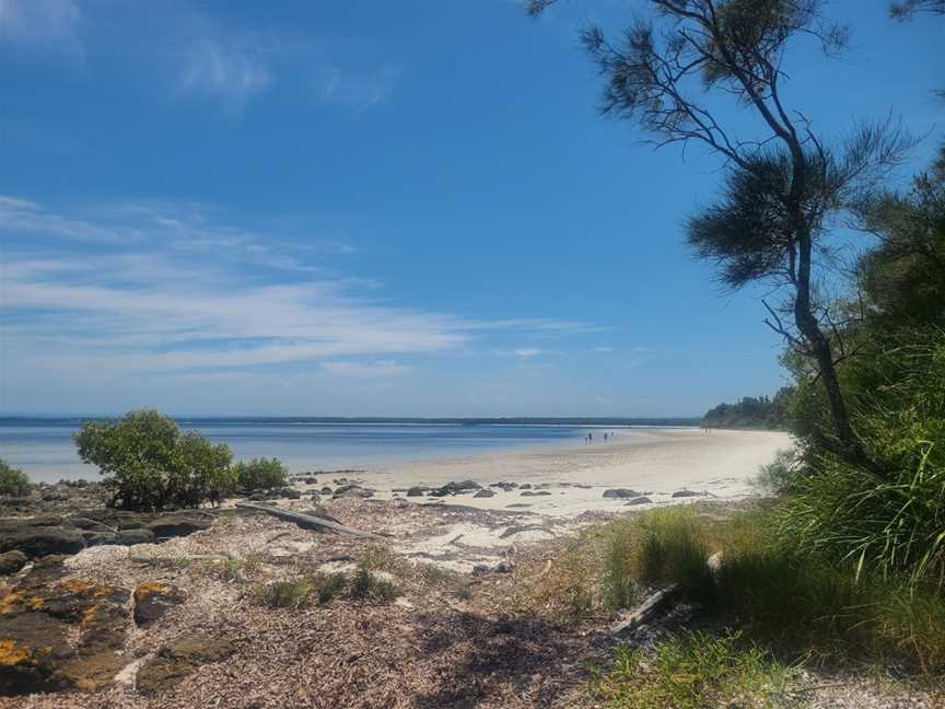 Red Point picnic area, Wollumboola, NSW