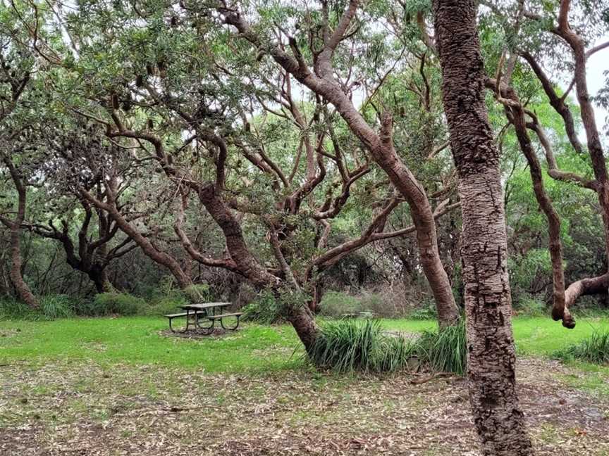 Red Point picnic area, Wollumboola, NSW