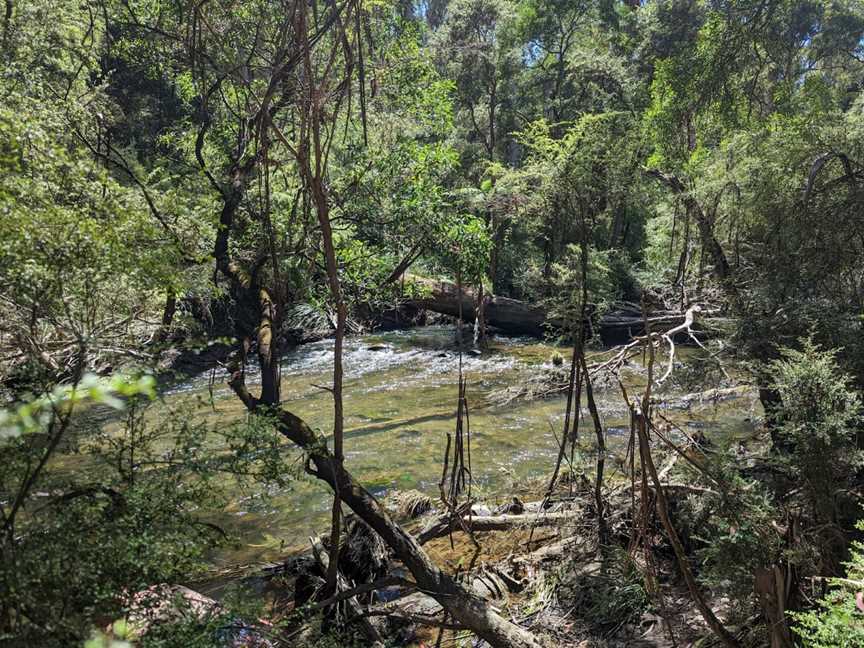 Upper Yarra Reservoir Park, Warburton, VIC