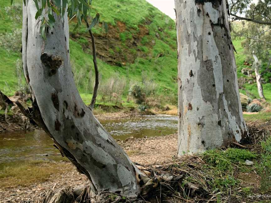 Rocks Reserve, Owen, SA