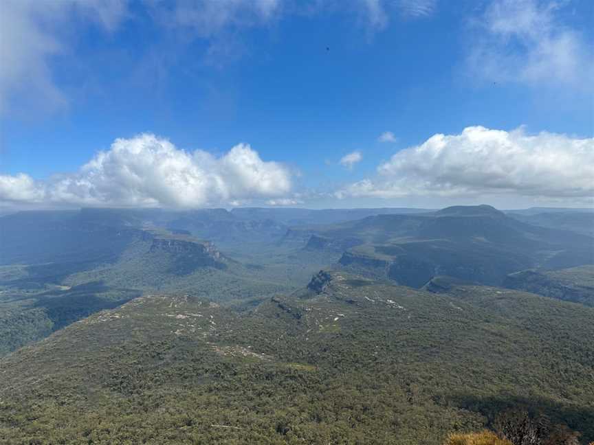 Pigeon House Mountain Didthul picnic area, Yadboro, NSW