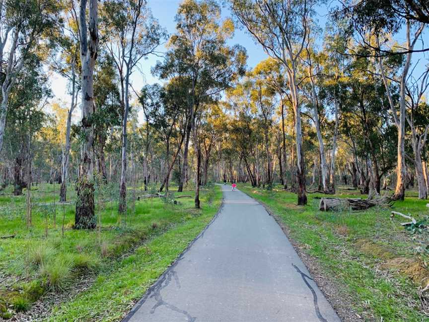 Victoria Park Lake, Shepparton, VIC