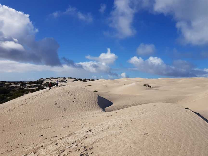 Yanerbie Sandhills, Streaky Bay, SA