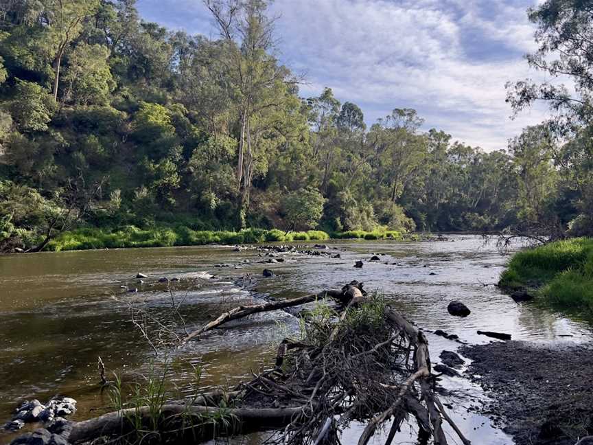 Warrandyte River Reserve, Warrandyte, VIC