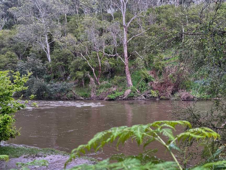 Warrandyte River Reserve, Warrandyte, VIC