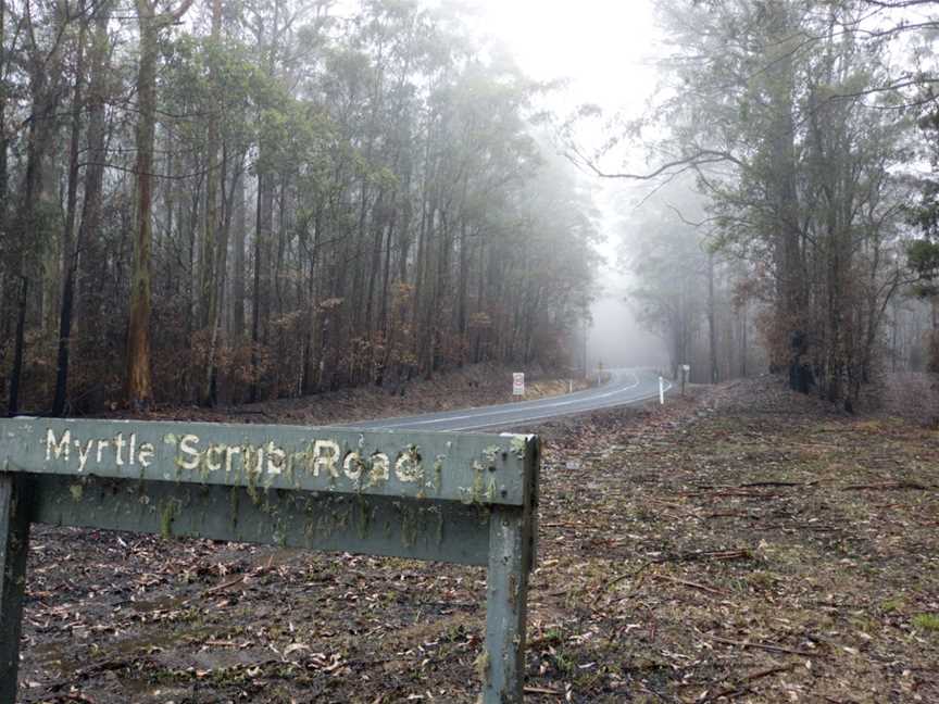 Cottan-Bimbang National Park, Yarrowitch, NSW