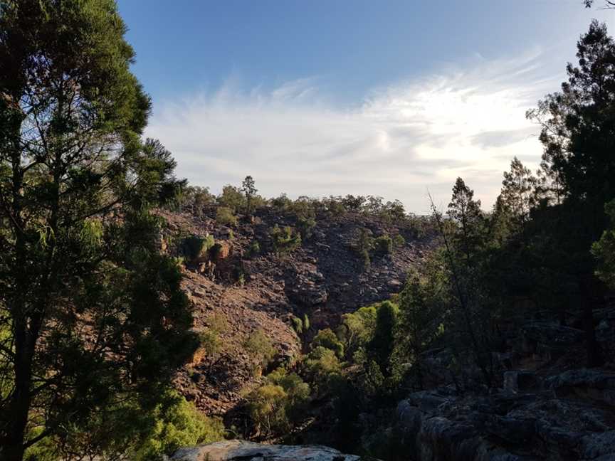 Jacks Creek picnic area, Yenda, NSW