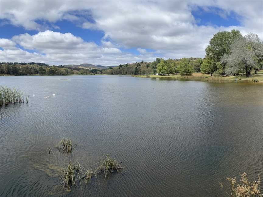 Lake Canobolas, Orange, NSW