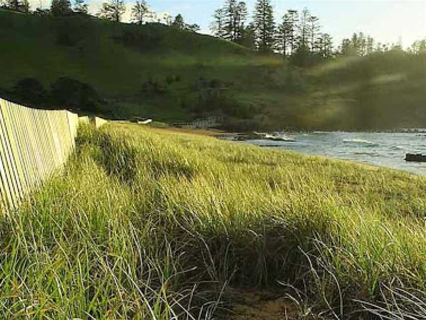 Norfolk Island National Park & Botanic Garden, Norfolk Island, AIT