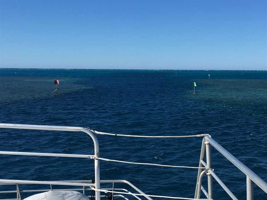 Lady Musgrave Island, Lady Musgrave Island, QLD