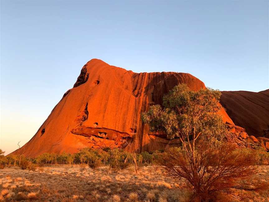 Kuniya Walk, Yulara, NT