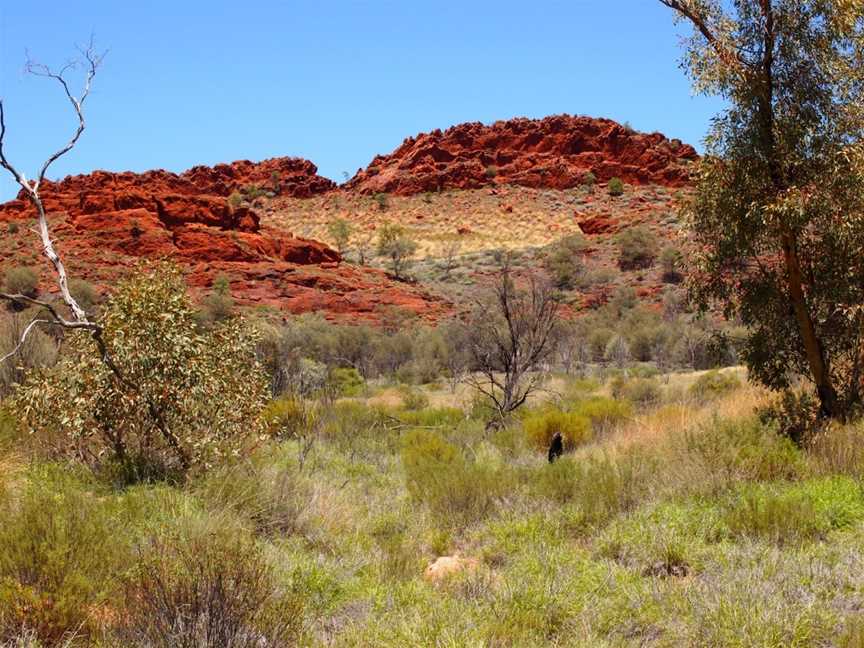 Ellery Creek Big Hole, Alice Springs, NT