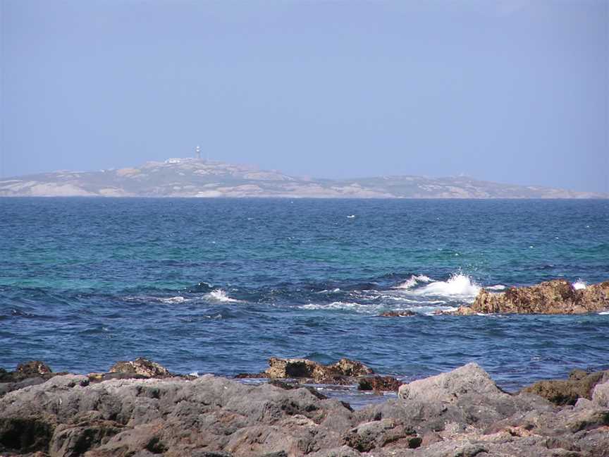 Montague Island, Narooma, NSW