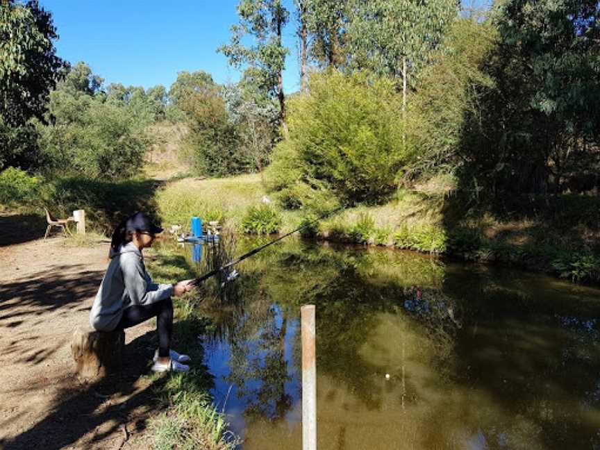 Marysville Trout and Salmon Ponds, Marysville, VIC