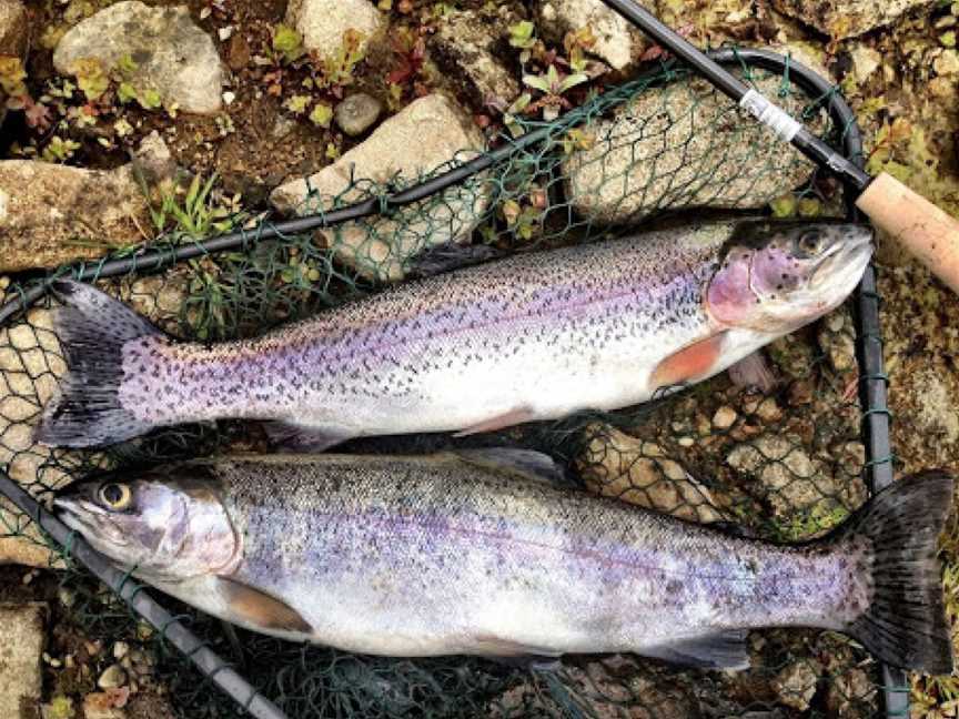 Marysville Trout and Salmon Ponds, Marysville, VIC