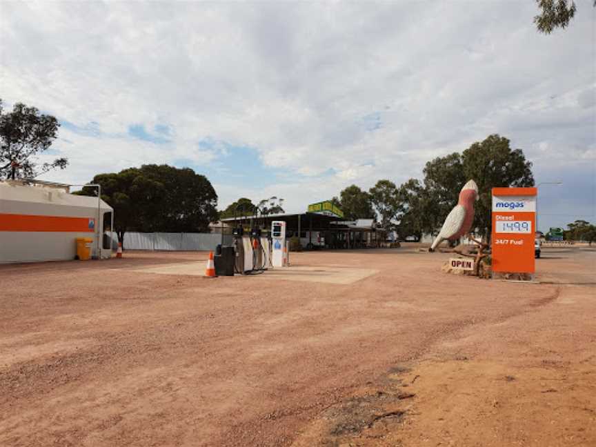 The Big Galah, Kimba, SA