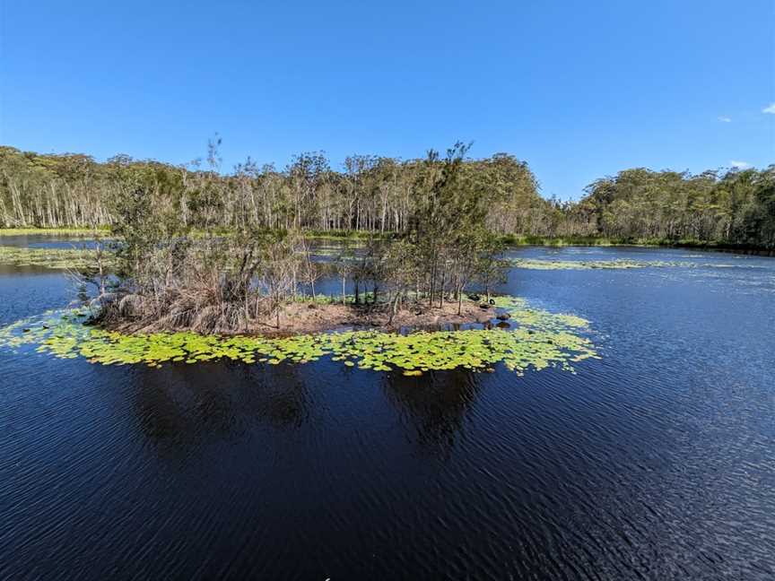 Urunga Wetlands Boardwalk, Urunga, NSW