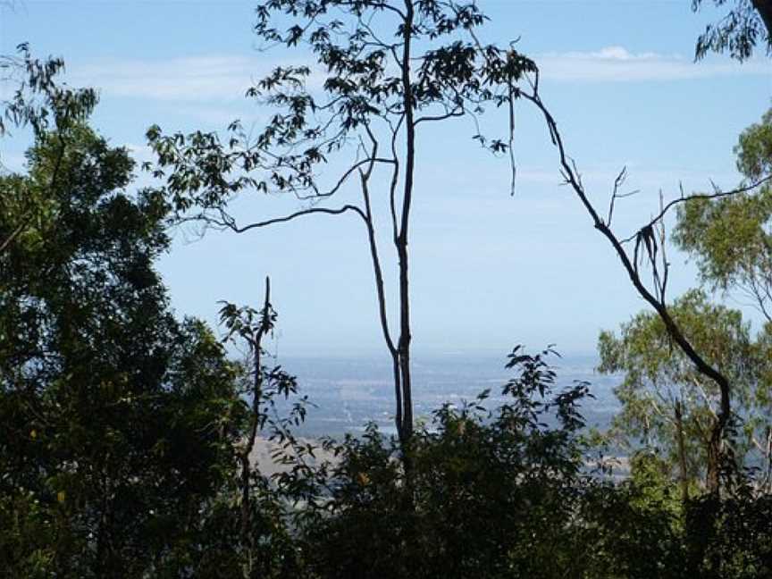 Tree Fern Gully Track, Tremont, VIC