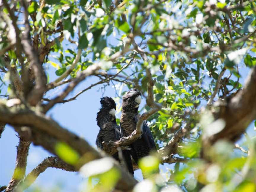 Valley Lake Conservation Park, Mount Gambier, SA