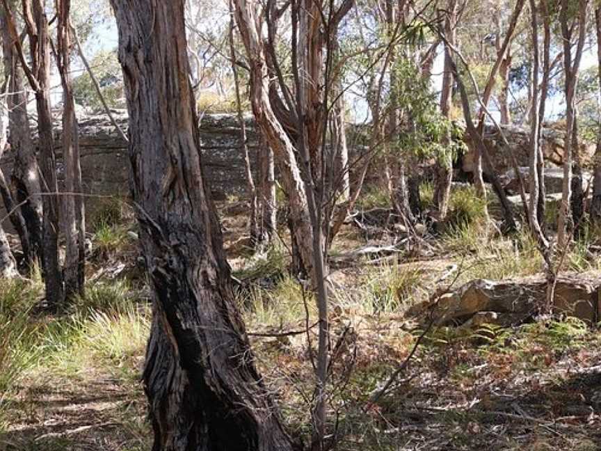 Knocklofty Reserve, West Hobart, TAS