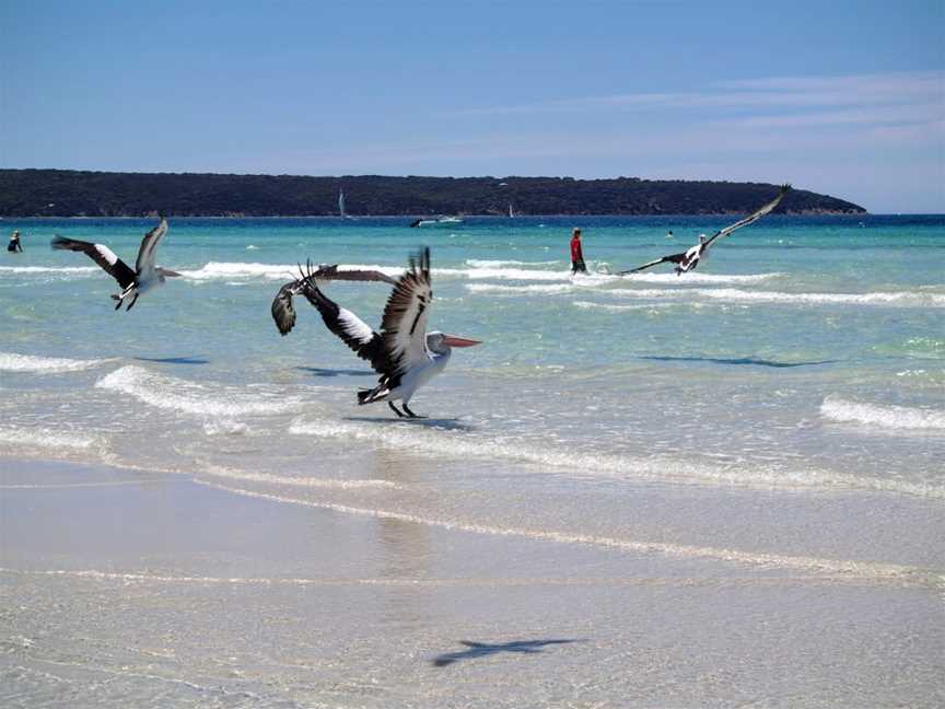 Island Beach, Island Beach, SA