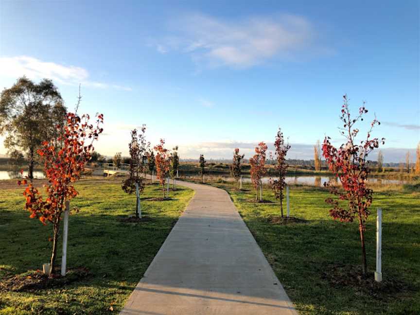 Lake Centenary, Temora, NSW