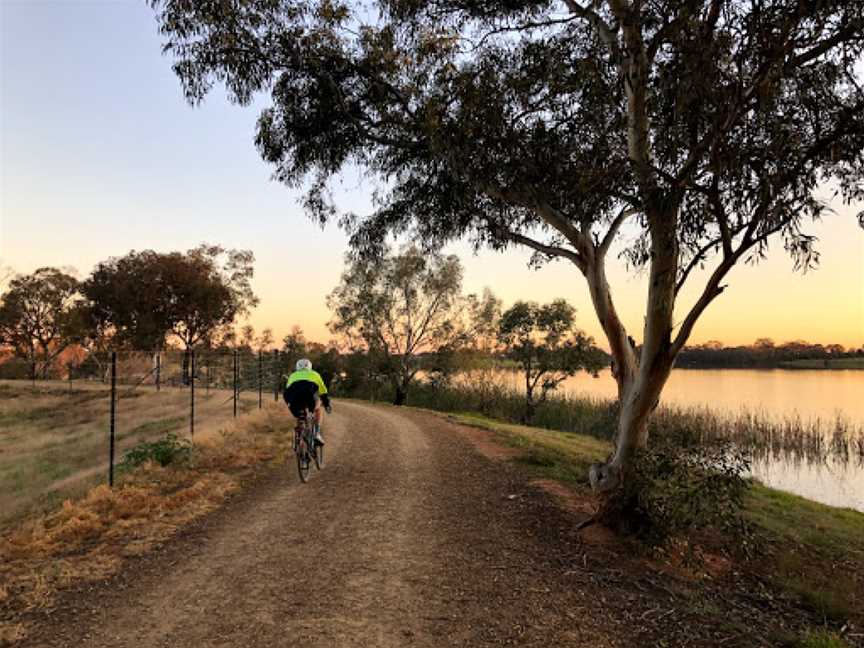 Lake Centenary, Temora, NSW