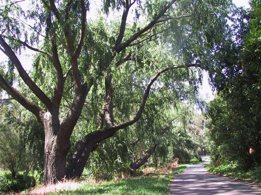 Scotchmans Creek Trail, Glen Waverley, VIC