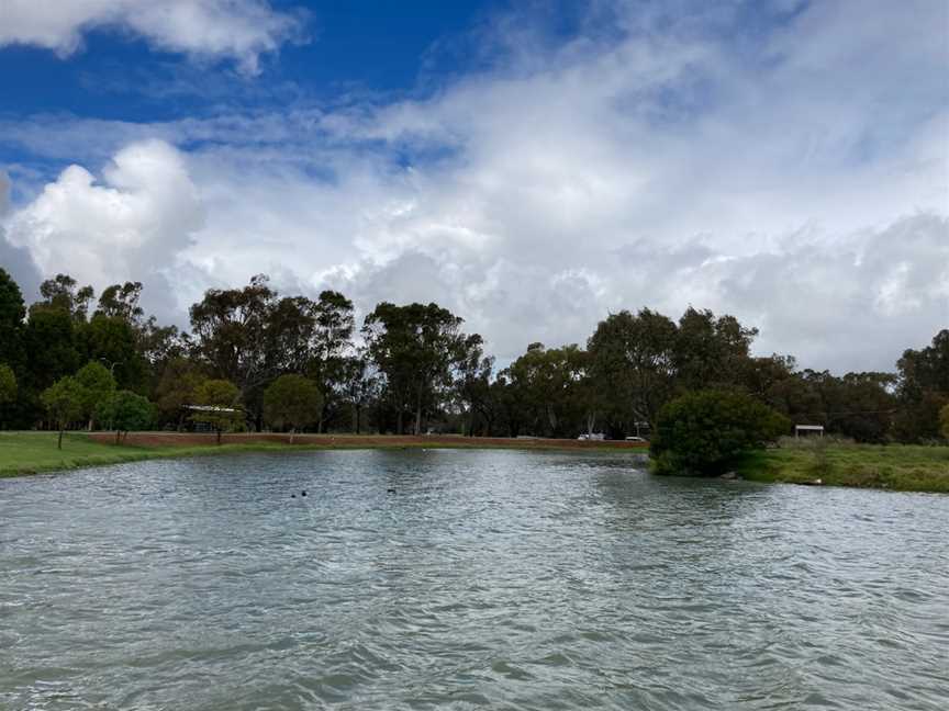 Gum Bend Lake, Condobolin, NSW