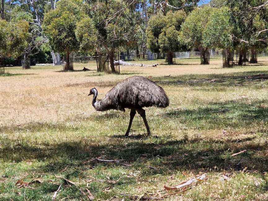 Cleland Conservation Park, Cleland, SA