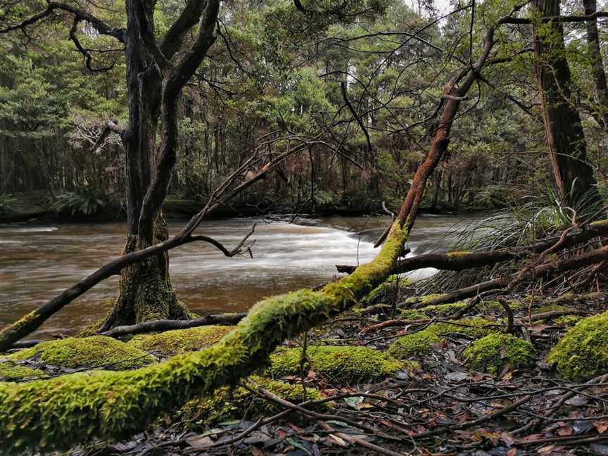 Gordon River, Southwest, TAS