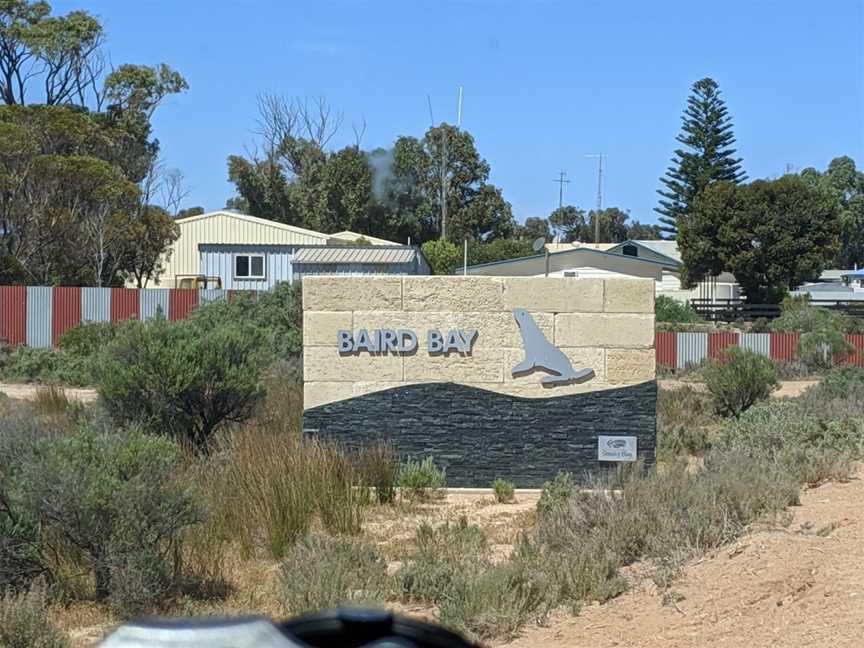 Baird Bay, Baird Bay, SA