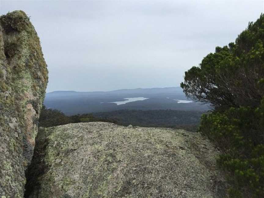 Genoa Peak Walk, Genoa, VIC