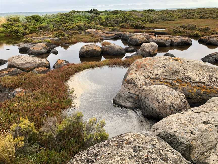 Jawbone Flora and Fauna Reserve, Williamstown, VIC