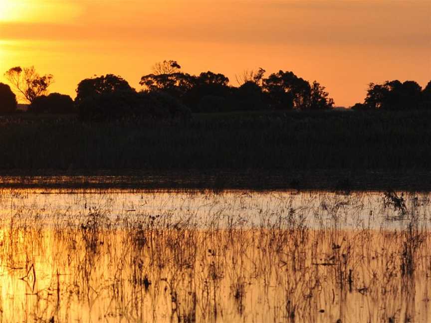 Bool Lagoon, Naracoorte, SA