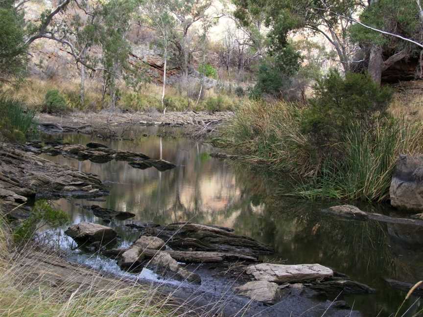 Onkaparinga River National Park, Port Noarlunga, SA