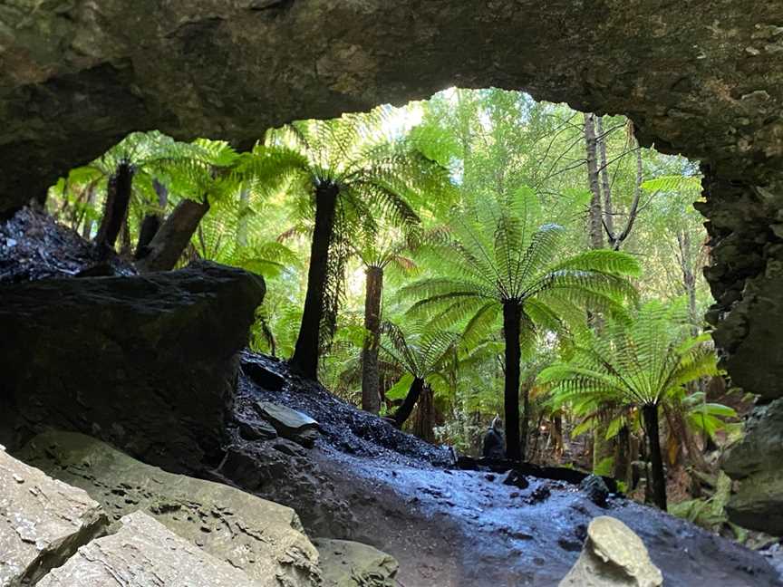 Trowutta Arch, Trowutta, TAS