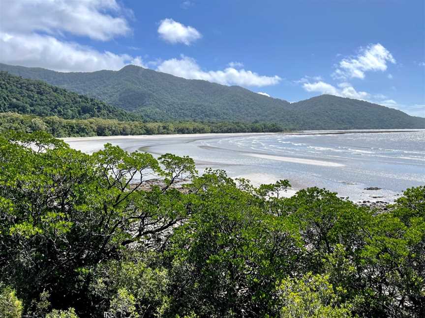 Kulki Boardwalk, Cape Tribulation, QLD