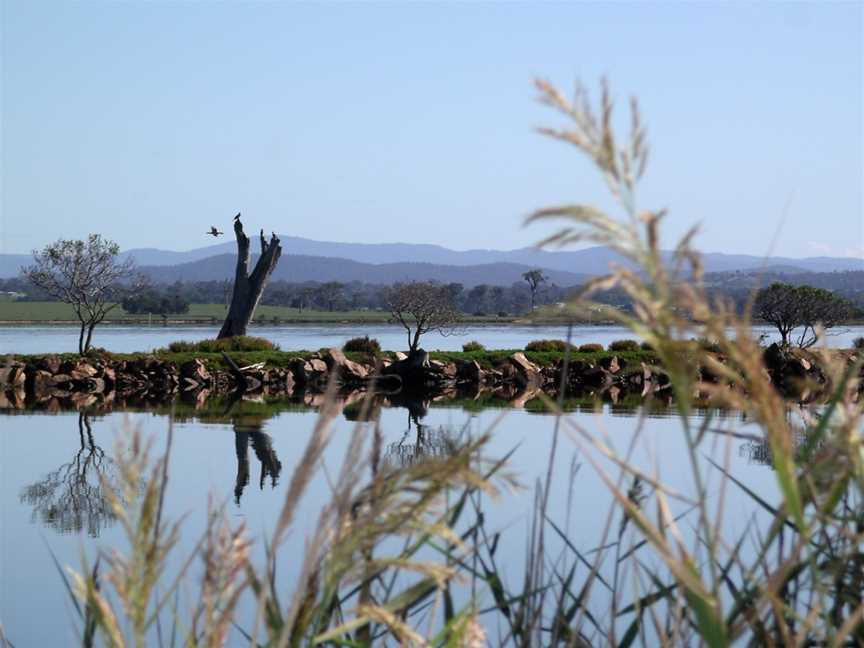 Mitchell River Silt Jetties, Eagle Point, VIC